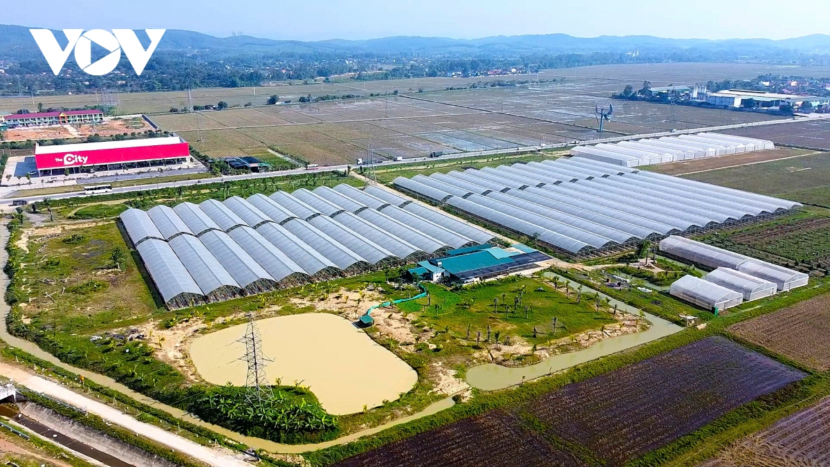 Nghệ An: Nông nghiệp tập thể - Đột phá tạo vị thế